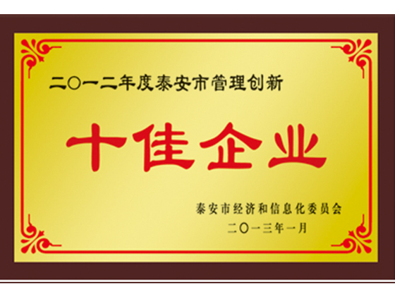 十佳企業(yè)