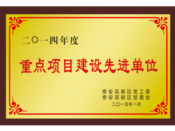重點(diǎn)項目建設先進(jìn)單位