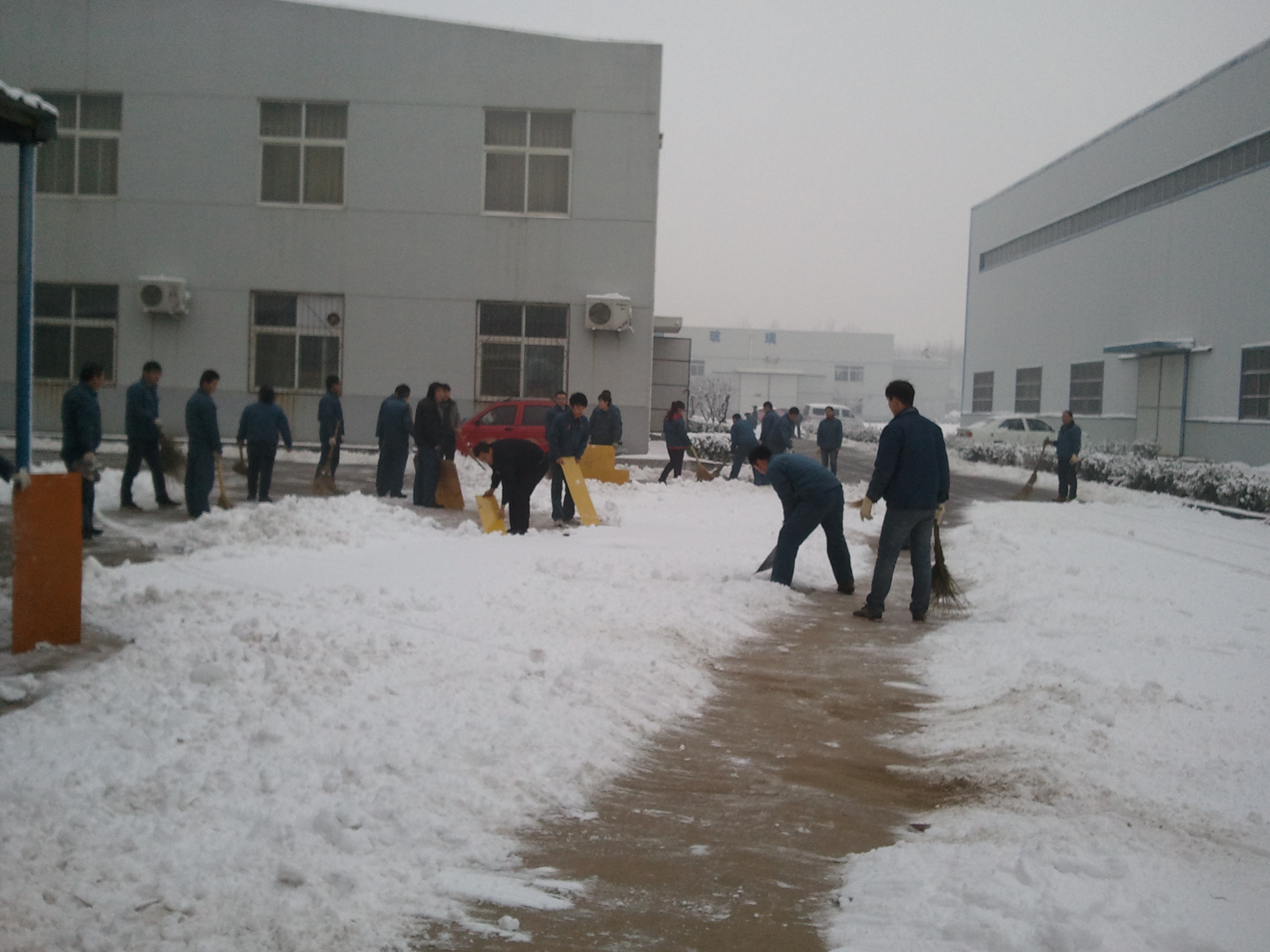 公司員工主動(dòng)清掃積雪 公司員工主動(dòng)清掃積雪